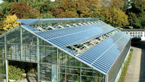 Steel Structure Greenhouse