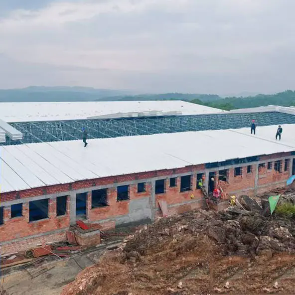 Steel Structure Livestock And Poultry Houses